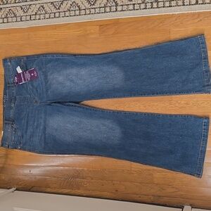 GLORIA VANDERBILT WOMEN'S PLUS  SIZE BLUE SLIP-ON JEANS SIZE 18W